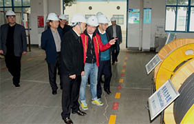2015年11月22日，郎溪縣黨政代表團(tuán)一行來上上電纜參觀考察