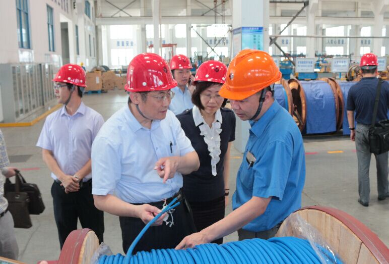2016年7月22日，瀘州市委常委、副市長王建翔一行來上上電纜參觀考察