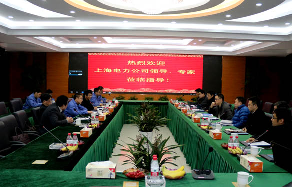 上海電力公司、上纜所領(lǐng)導(dǎo)、專家一行來上上電纜交流考察