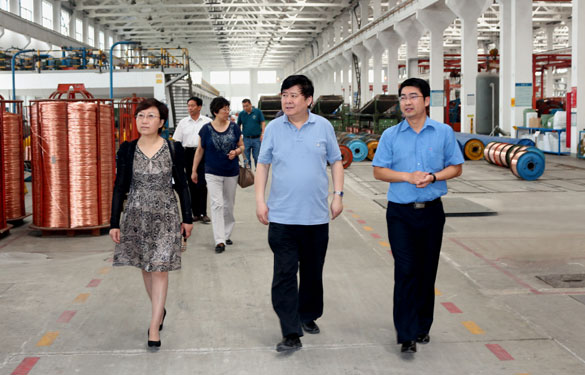 常州市新北區(qū)人大領導一行來上上集團調(diào)研