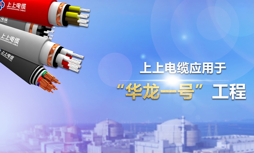 上上電纜榮獲2023年度中國電工技術(shù)學(xué)會“科技進步獎二等獎”