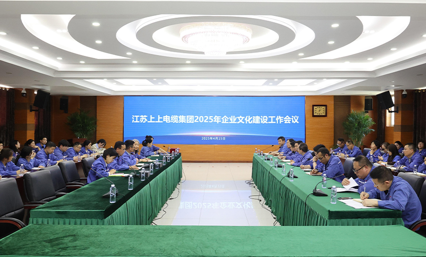 上上電纜召開(kāi)2025年企業(yè)文化建設(shè)工作會(huì)議