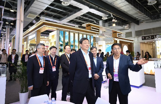 江蘇省委常委、常務(wù)副省長馬欣蒞臨上上展位-1.jpg